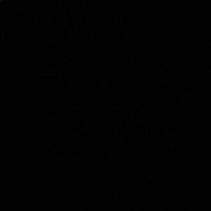 Meet your Posher, Will